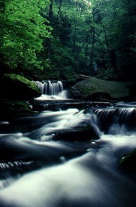 Flowing Water Fall