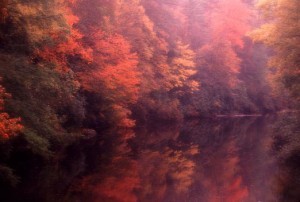 Red Autum